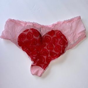 Vintage 2009 VS Sexy Little Things mesh heart roses back hiphugger panties RARE